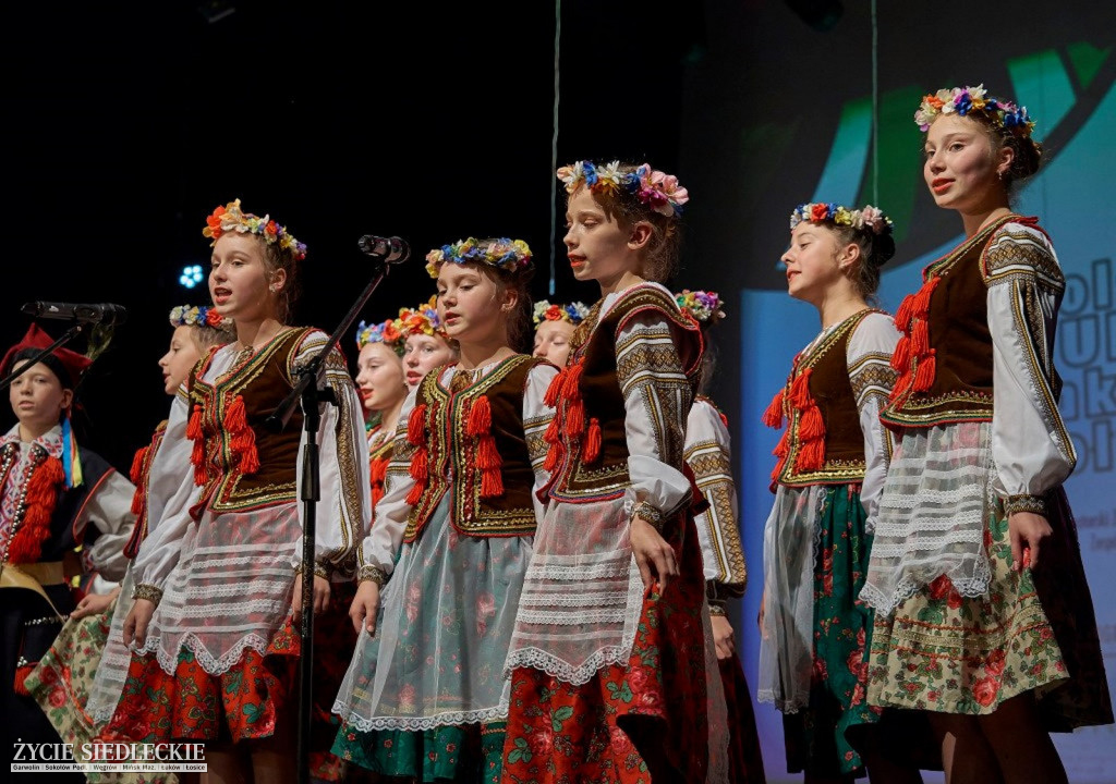 Co wycina Polska i Ukraina?