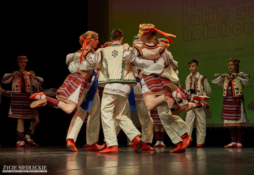 Co wycina Polska i Ukraina?