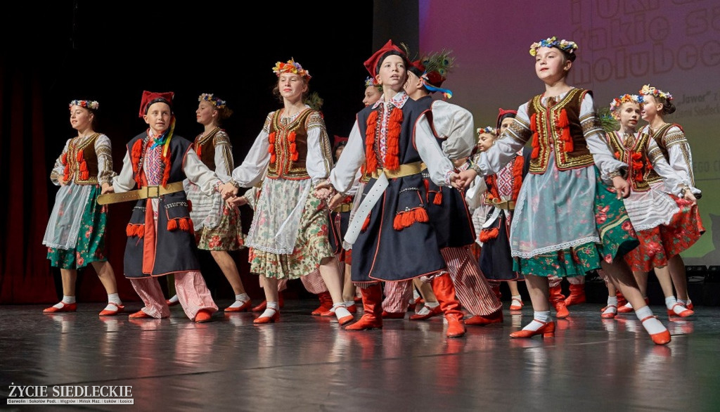 Co wycina Polska i Ukraina?
