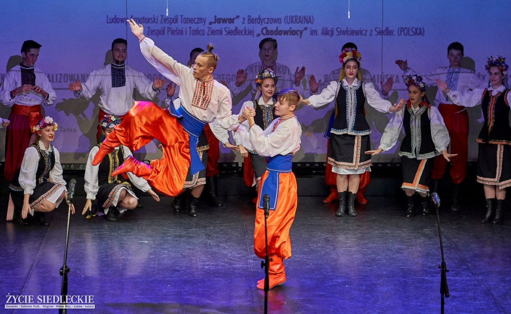 Co wycina Polska i Ukraina?