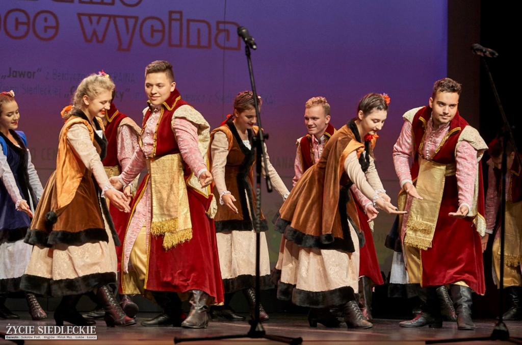 Co wycina Polska i Ukraina?