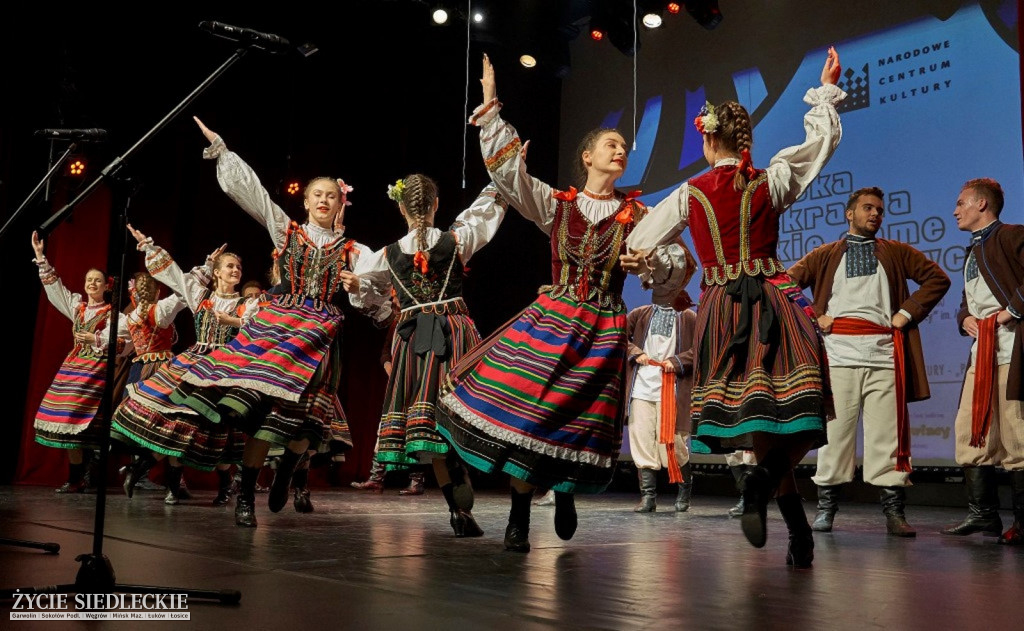 Co wycina Polska i Ukraina?
