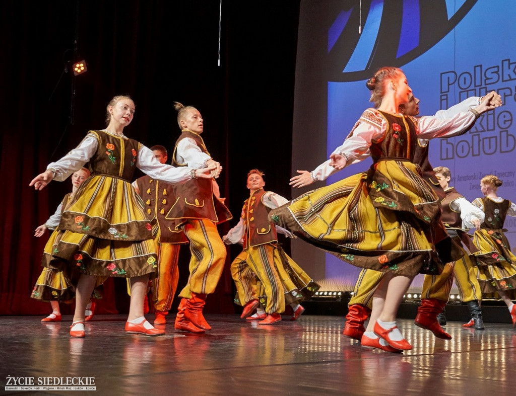 Co wycina Polska i Ukraina?