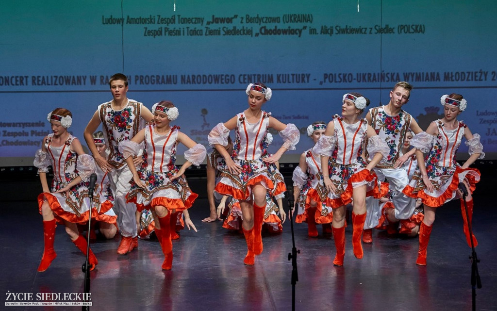 Co wycina Polska i Ukraina?