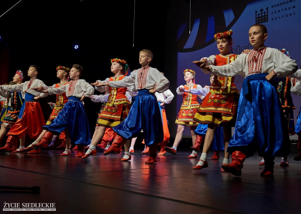 Co wycina Polska i Ukraina?