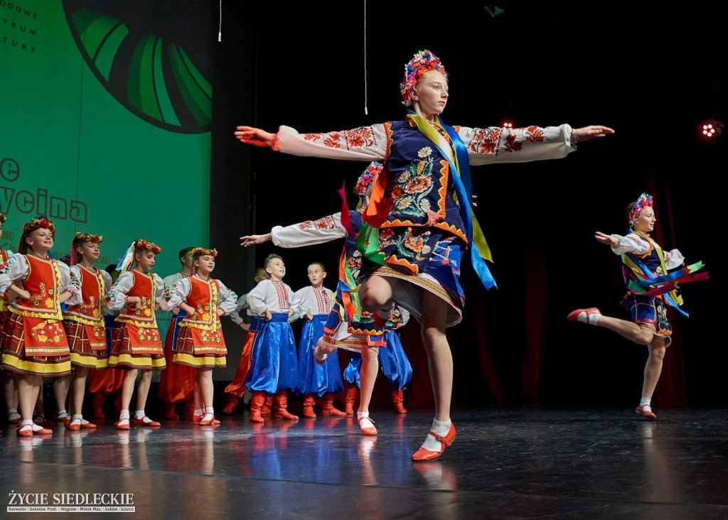 Co wycina Polska i Ukraina?