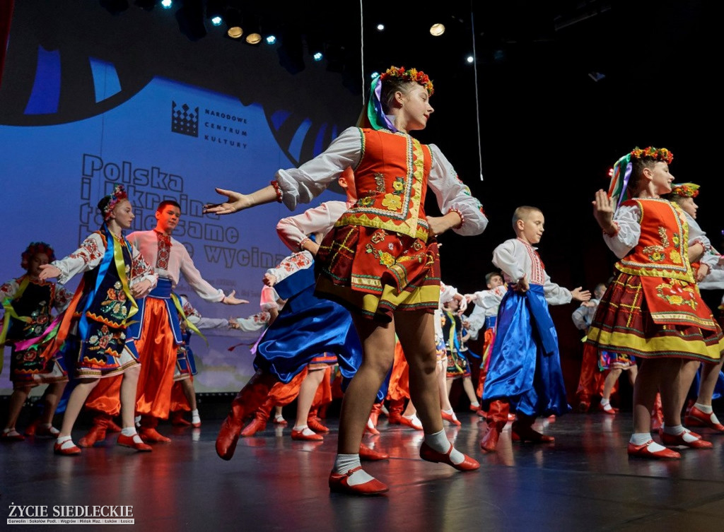 Co wycina Polska i Ukraina?
