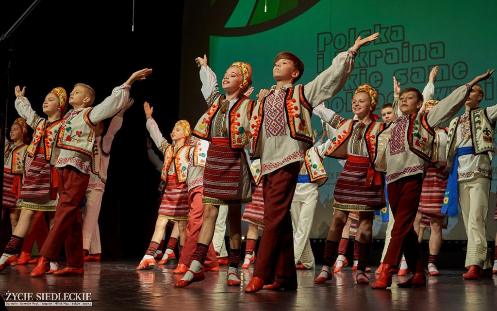 Co wycina Polska i Ukraina?