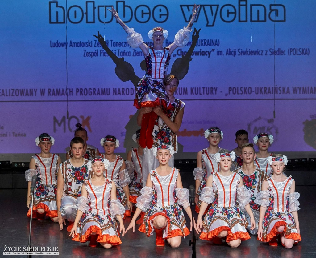 Co wycina Polska i Ukraina?