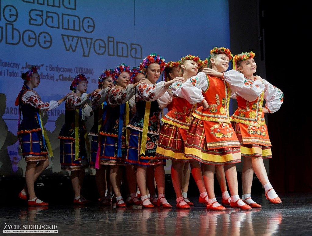 Co wycina Polska i Ukraina?