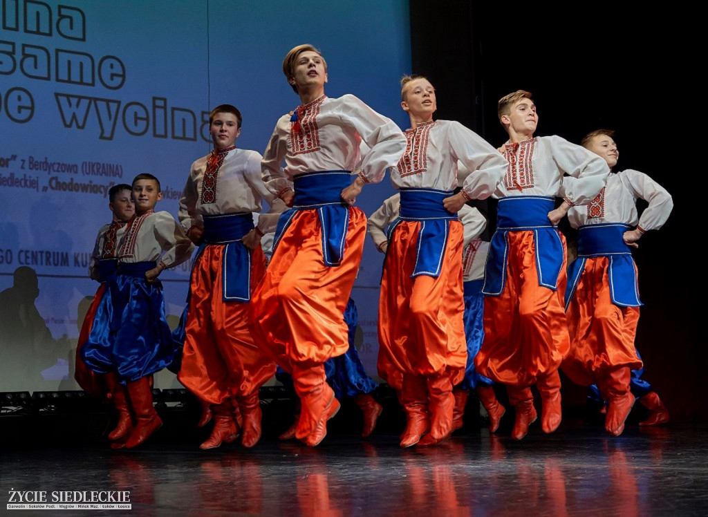 Co wycina Polska i Ukraina?