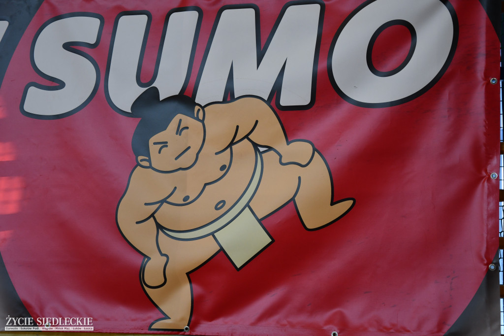 Puchar Polski w sumo