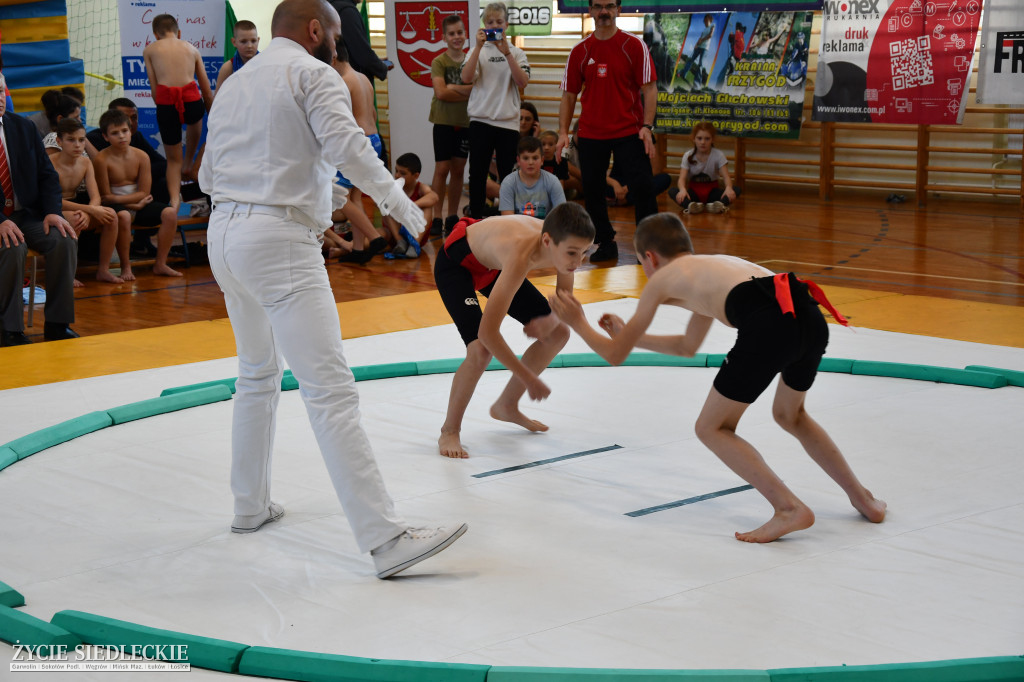 Puchar Polski w sumo