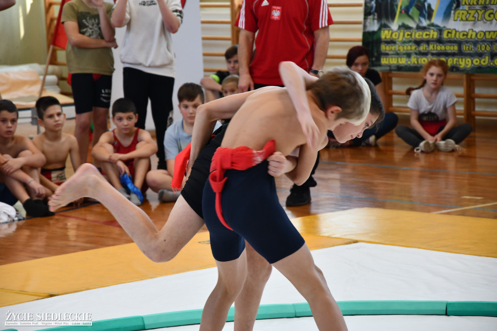 Puchar Polski w sumo