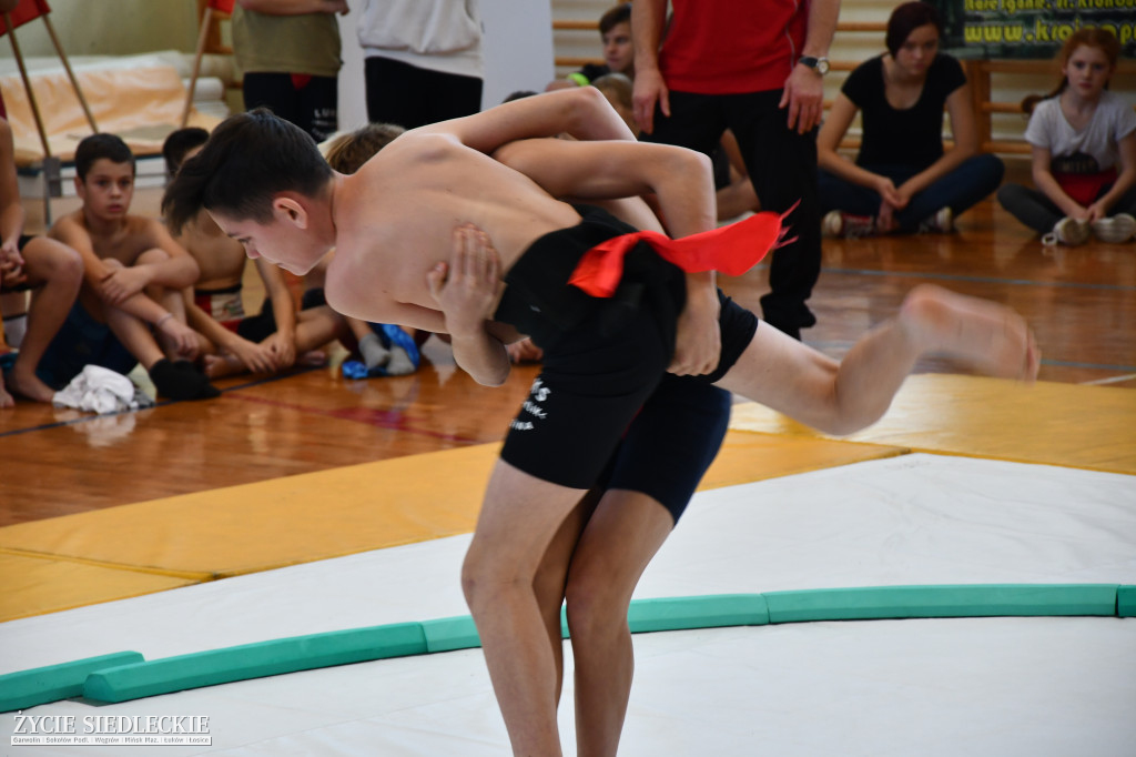 Puchar Polski w sumo