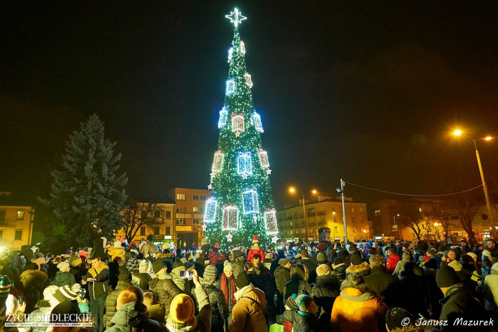 Choinka rozświetliła Siedlce