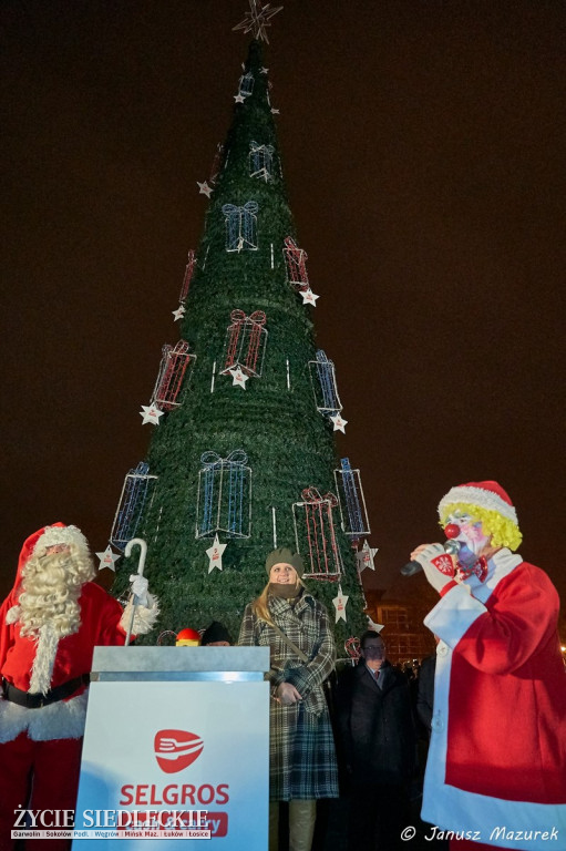 Choinka rozświetliła Siedlce