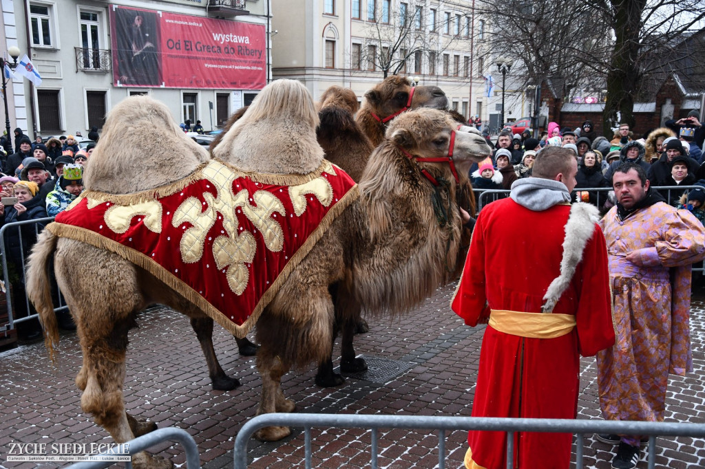 Orszak Trzech Króli w Siedlcach