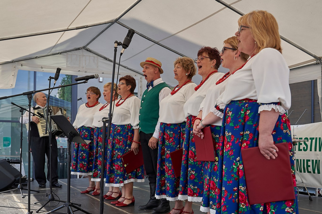 Festiwal Kapel Ludowych w Wiśniewie