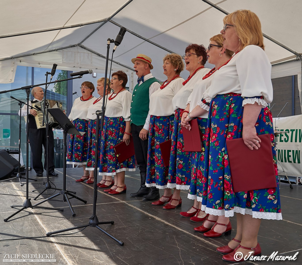 Festiwal Kapel Ludowych w Wiśniewie