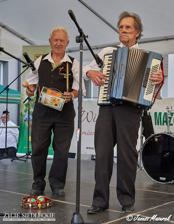 Festiwal Kapel Ludowych w Wiśniewie