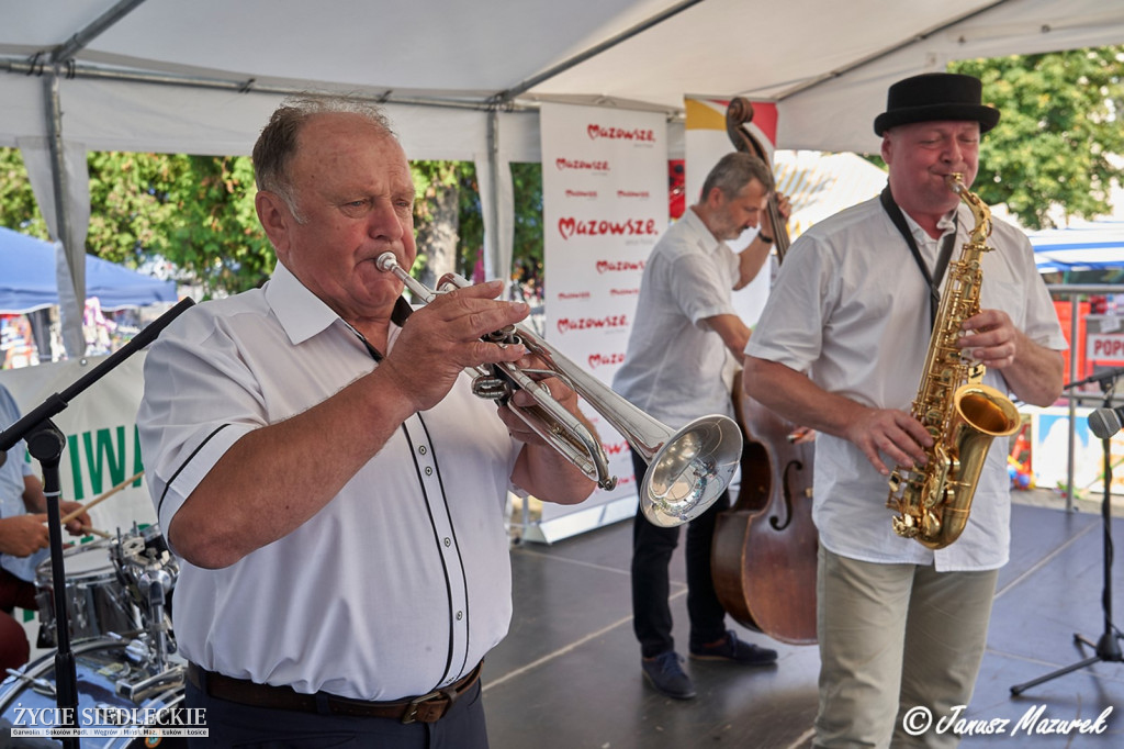 Festiwal Kapel Ludowych w Wiśniewie