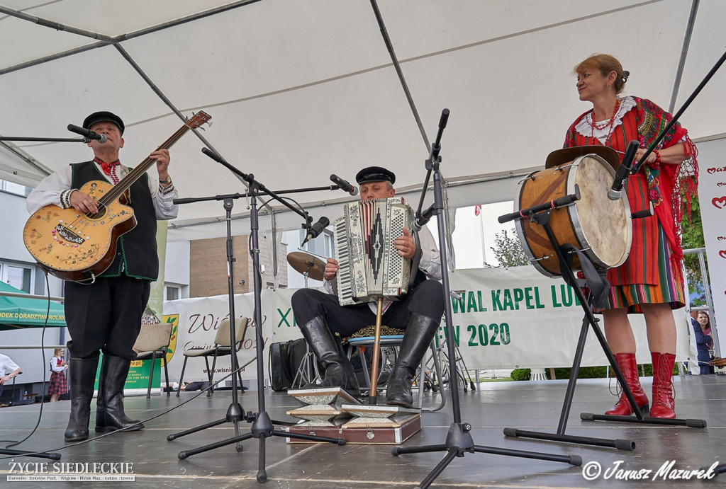 Festiwal Kapel Ludowych w Wiśniewie