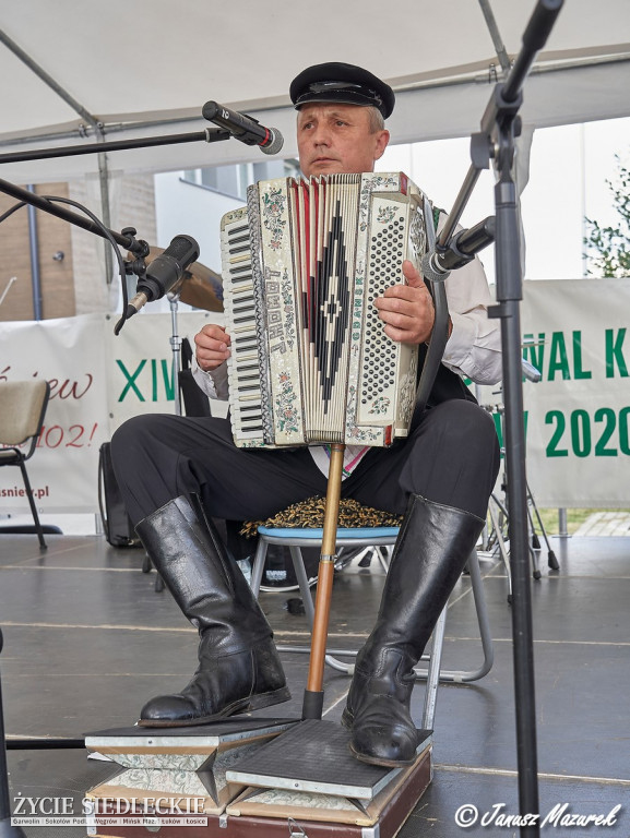 Festiwal Kapel Ludowych w Wiśniewie