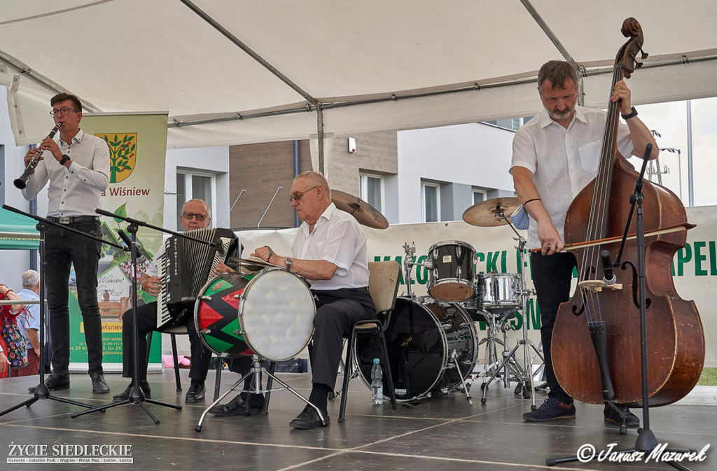 Festiwal Kapel Ludowych w Wiśniewie