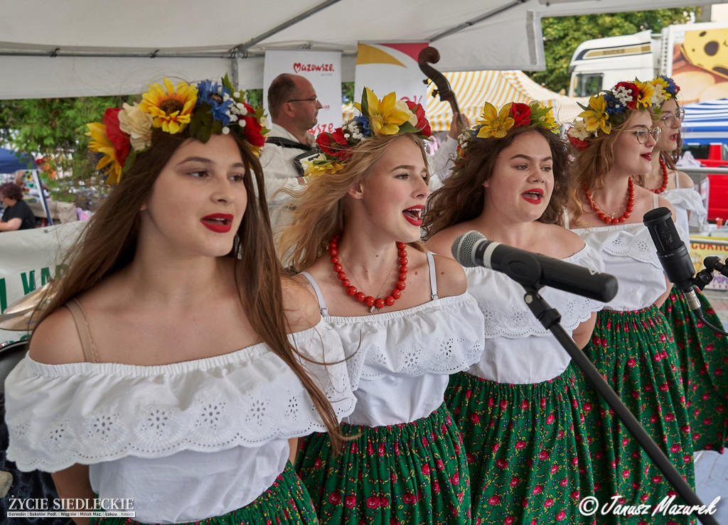 Festiwal Kapel Ludowych w Wiśniewie
