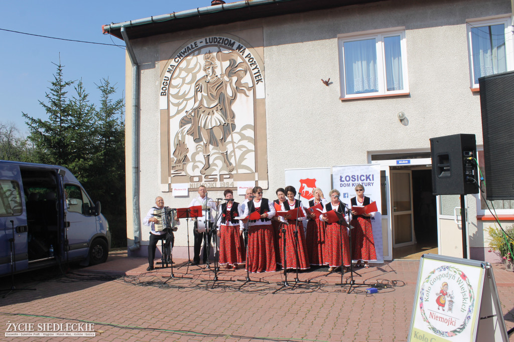 Dzień Pieroga Niemojskiego