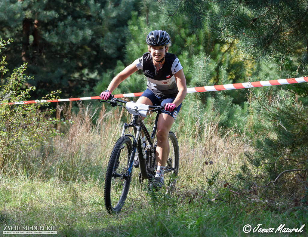 Cross rowerów górskich