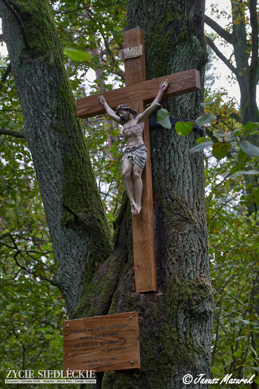 Poświęcenie krzyża w Gołoborzu
