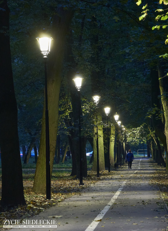 Nowe oświetlenie w parku
