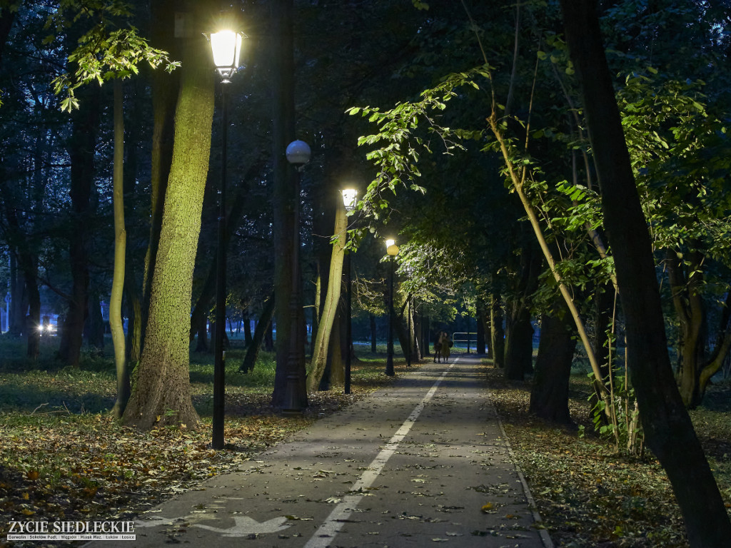 Nowe oświetlenie w parku