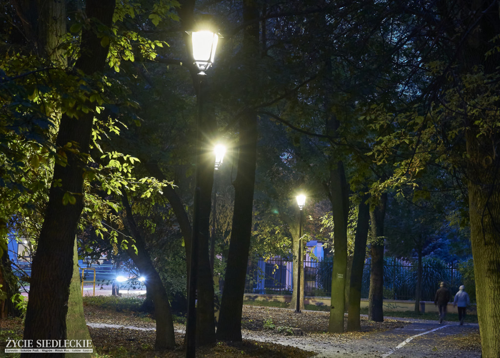 Nowe oświetlenie w parku