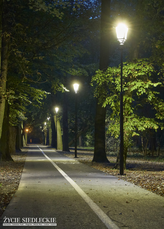 Nowe oświetlenie w parku