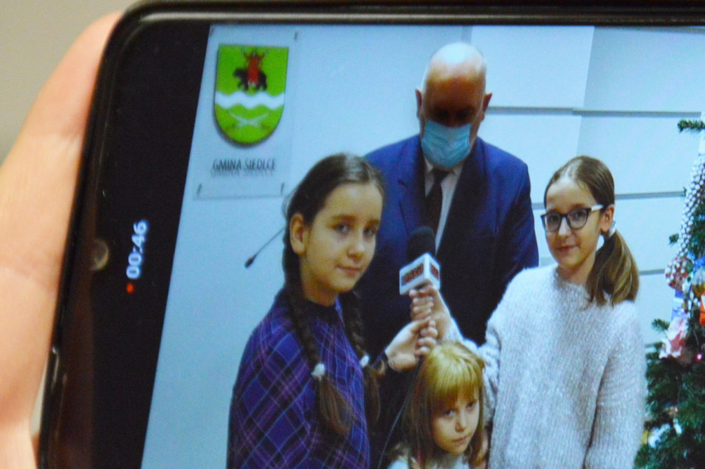 Choinki w gminie Siedlce już ubrane