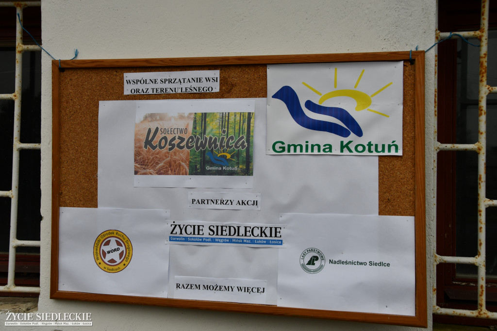 Sprzątanie Koszewnicy