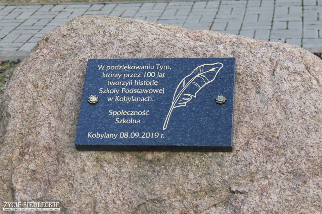 Park w Kobylanach przed rewitalizacją