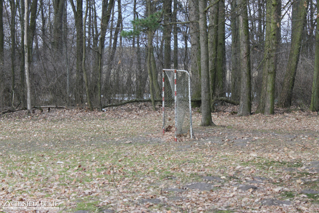Park w Kobylanach przed rewitalizacją