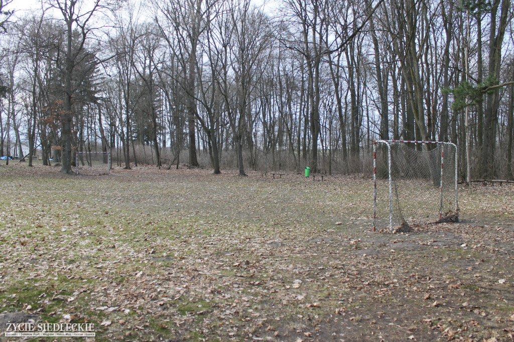 Park w Kobylanach przed rewitalizacją