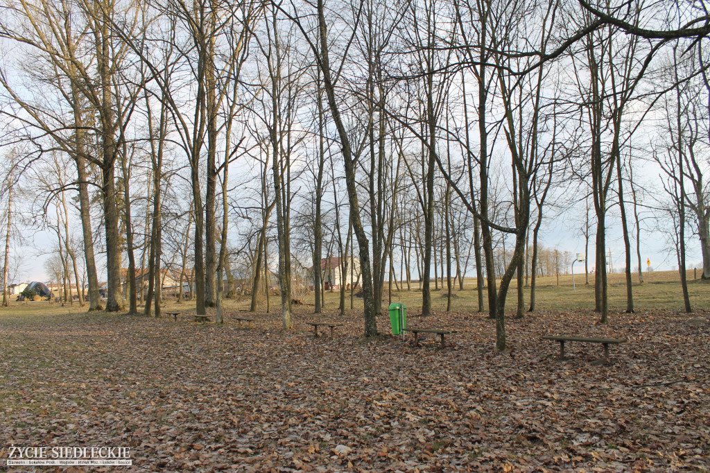 Park w Kobylanach przed rewitalizacją
