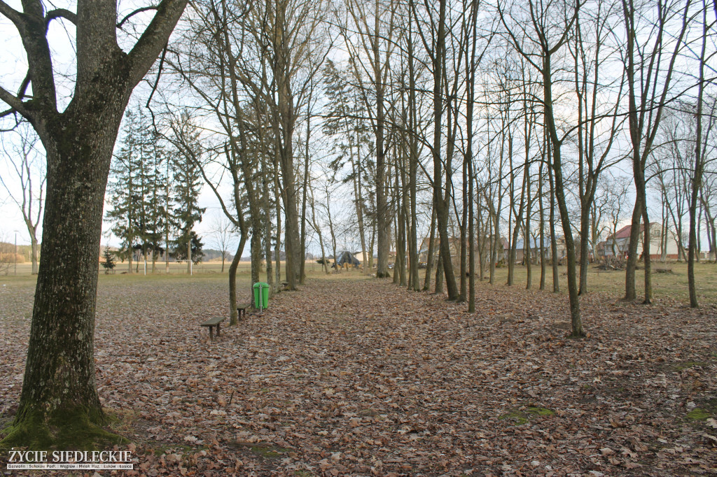 Park w Kobylanach przed rewitalizacją