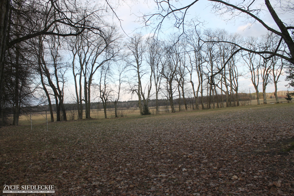 Park w Kobylanach przed rewitalizacją