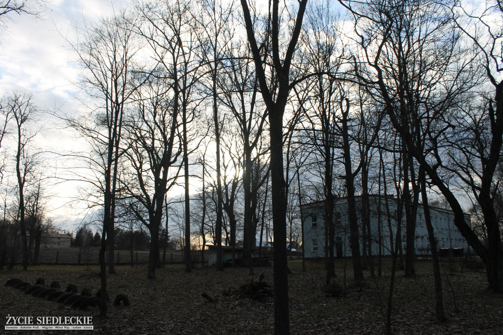 Park w Kobylanach przed rewitalizacją
