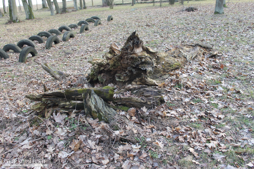 Park w Kobylanach przed rewitalizacją