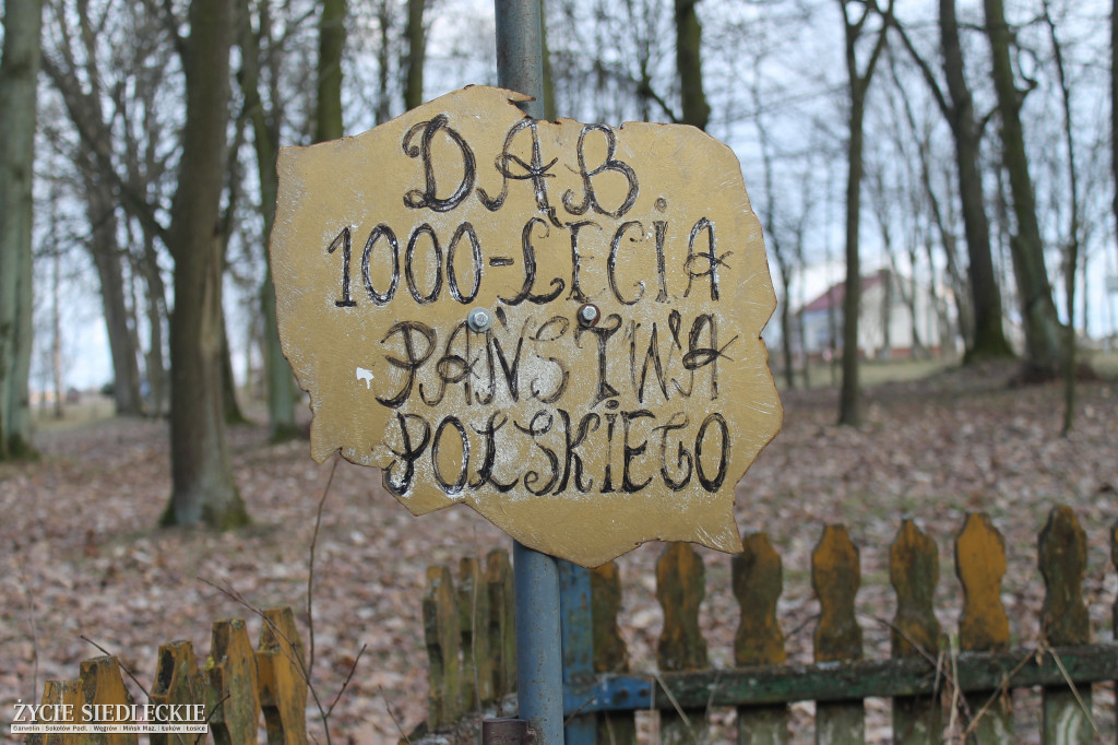 Park w Kobylanach przed rewitalizacją