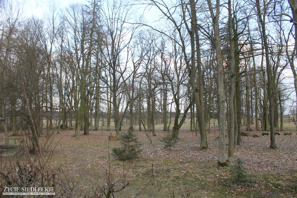 Park w Kobylanach przed rewitalizacją