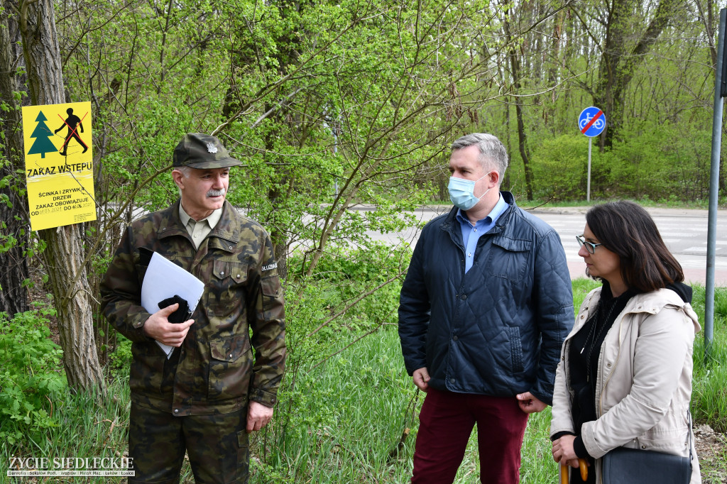 Interwencja w Lesie Sekulskim